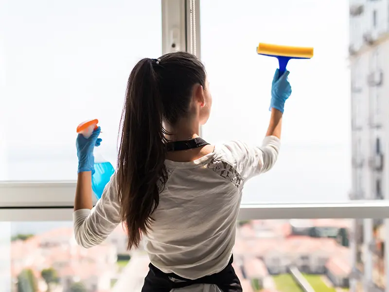Iris Cleaning Services